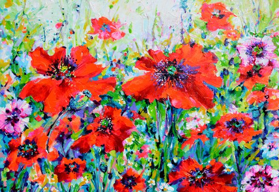 Papaveri Orientali Poppy Oriental Red Poppies