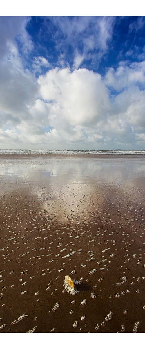 Newgale Shell by David Baker