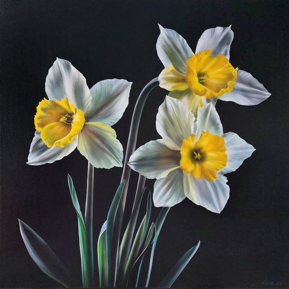 narcissus painting,  yellow flowers art by Svitlana Brazhnikova