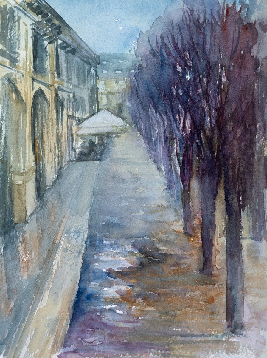 Rainy Palais Royal, Paris by Oleksandra Skrypchenko