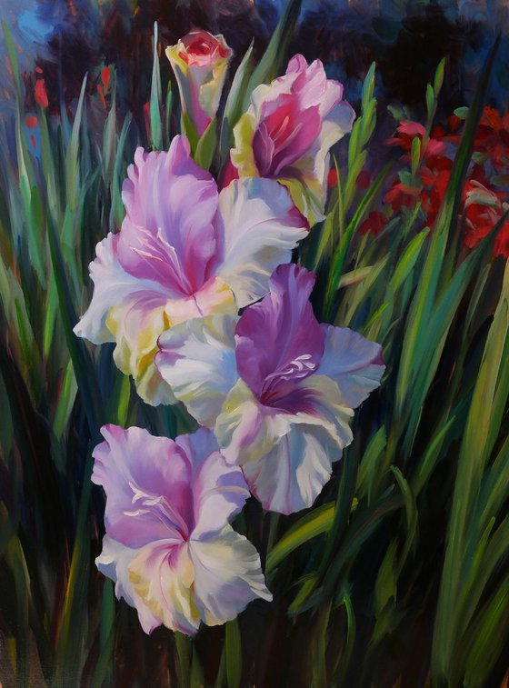 "Gladiolus"