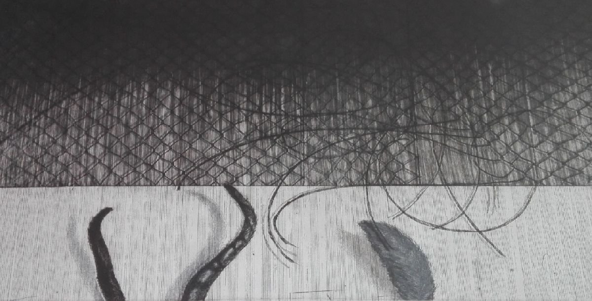 Surrealistic Animal Etchings & Engravings By Kristina Vatova, 30 X 20", "I Found You", Original Artwork