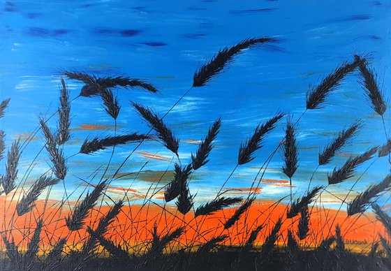 Sunset in the grass