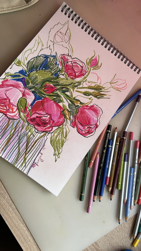Roses sketch colored pencils