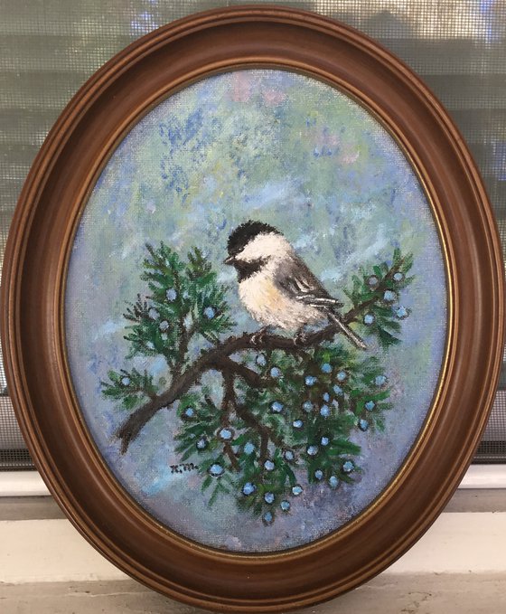 CHICKADEE # 51 - 10X8 oval oil  (SOLD)