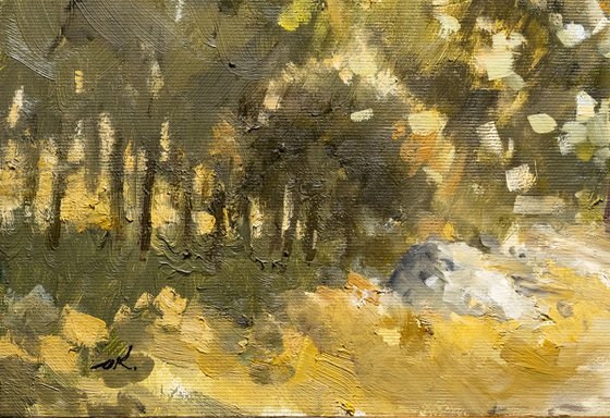 Road To Lower Galilee