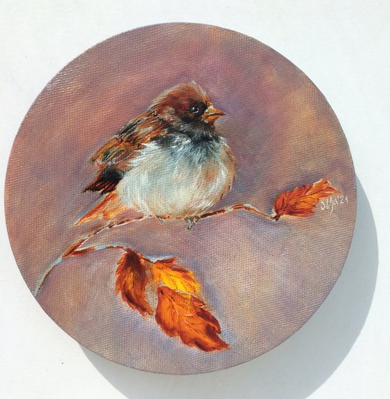 Bird oil painting - Sparrow original wall art - Small round canvas - Gift idea for bird lover (2021)