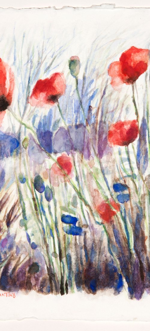 Poppies 2 by Ioanna Konstantinou