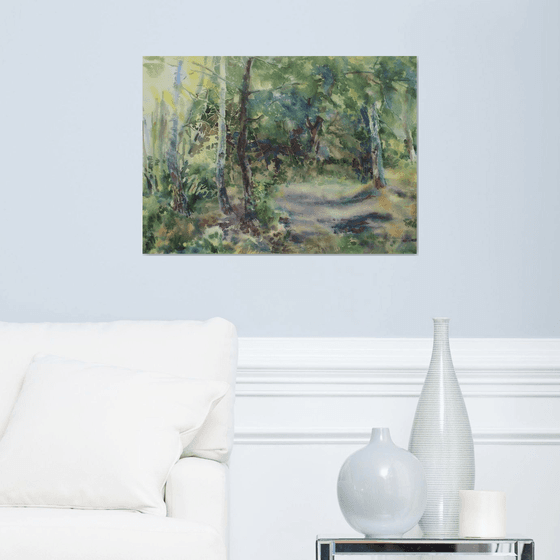 Forest Glade