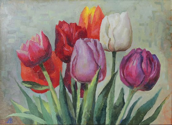 "Tulip colors"