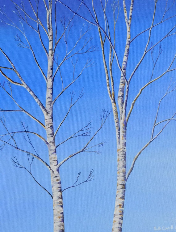 Two Silver Birch Trees In Winter By Ruth Cowell Artfinder