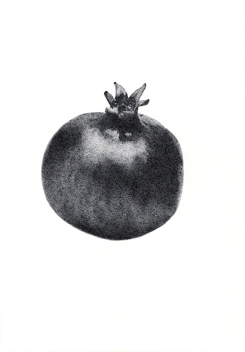 The Pomegranate - original stippling drawing by Alona Hryn