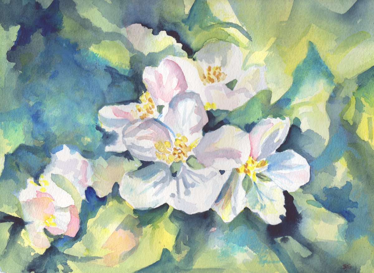 Spring Blossom by Sarah Stowe