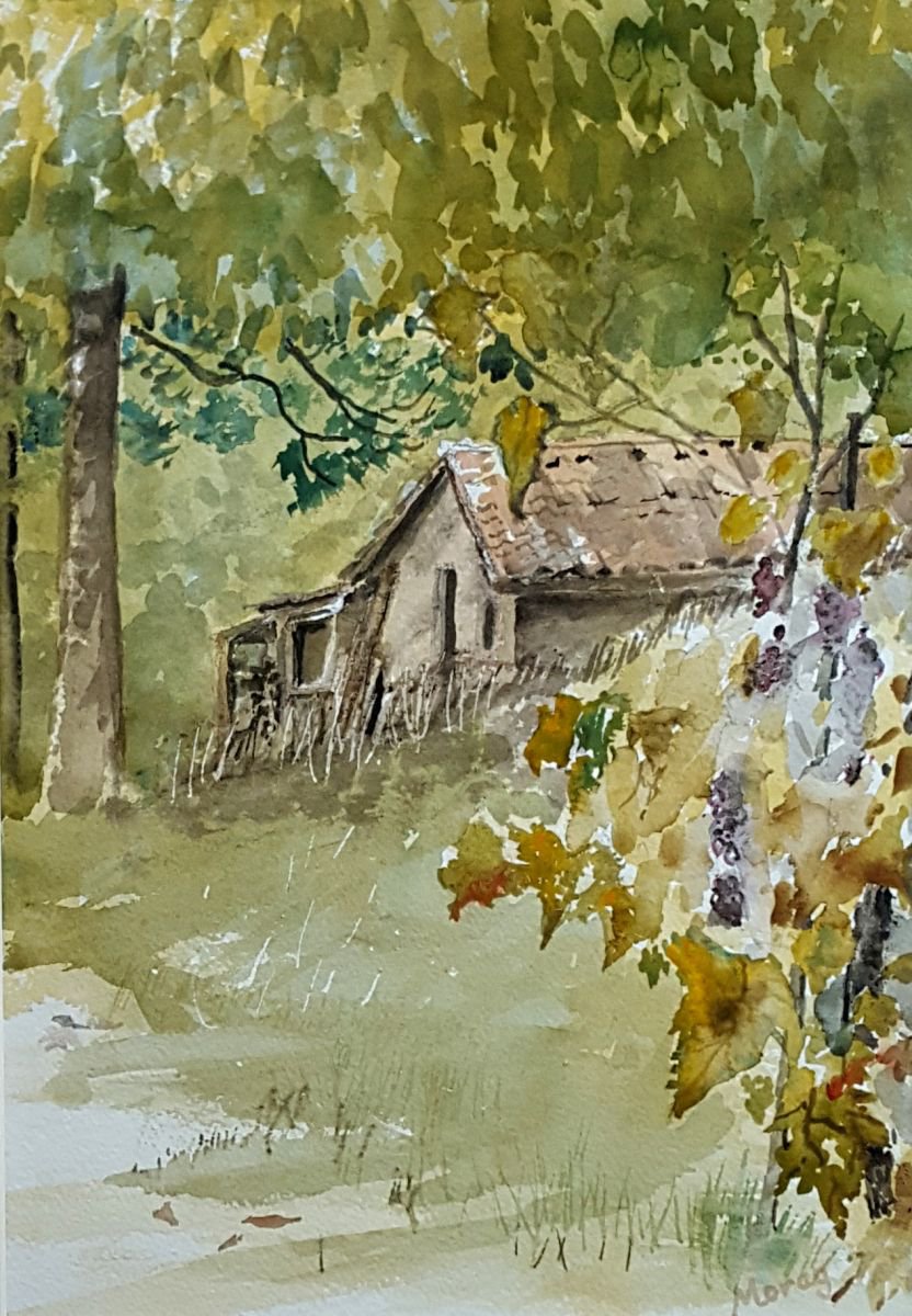 Impressionistic Landscape Watercolour By Morag Paul, 14 X 20", The Old Vineyard Shed, Original Artwork