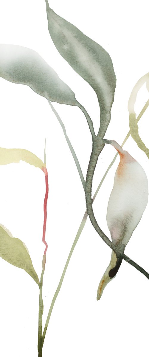 Plant Study No. 101 by Elizabeth Becker