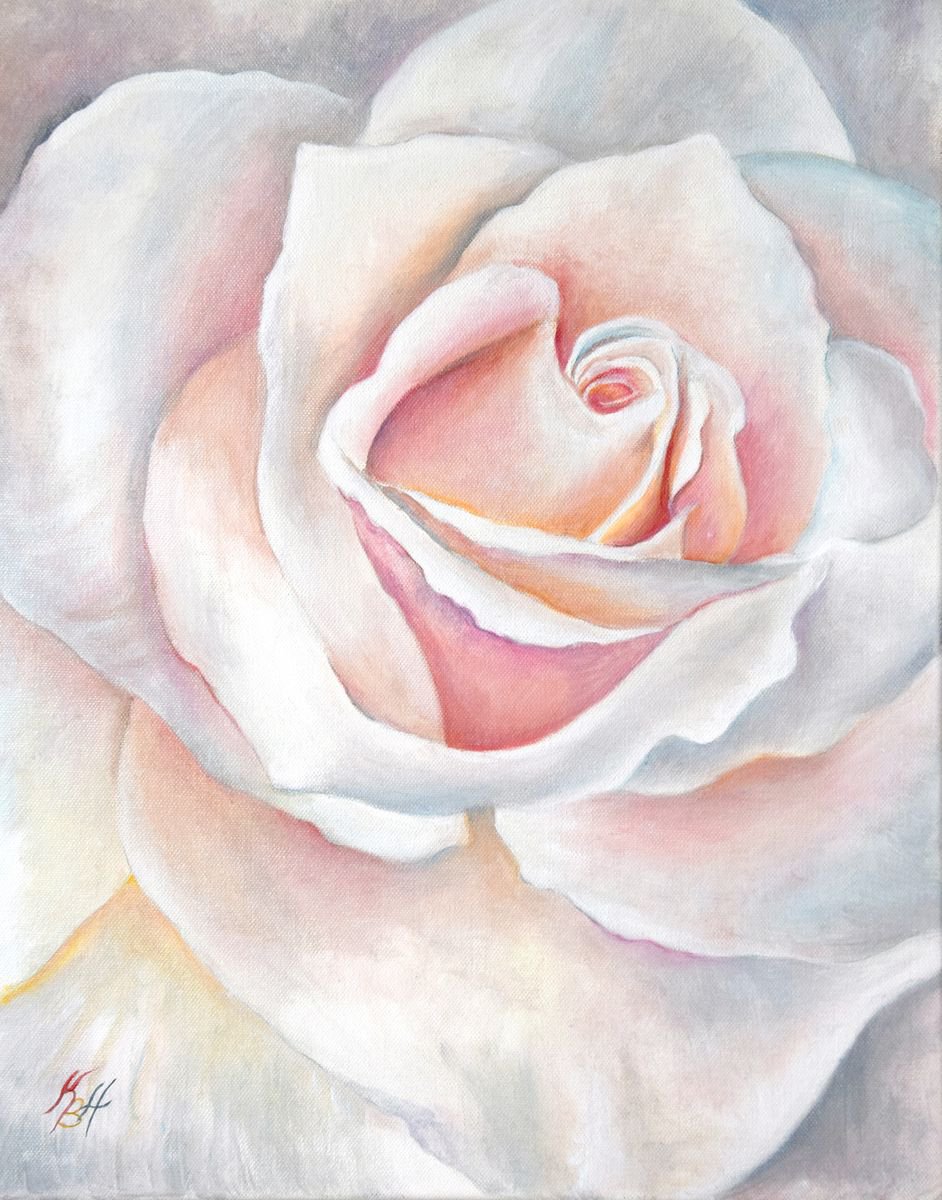 The beauty of a rose by Katia Boitsova-Hosek