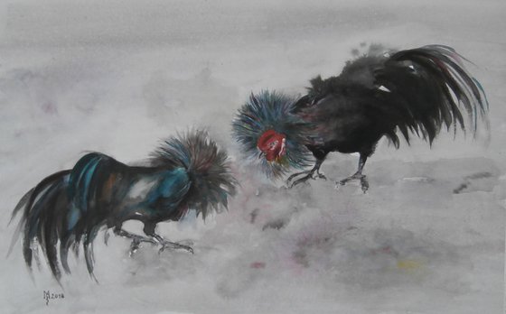 FIGHT OF THE ROOSTERS