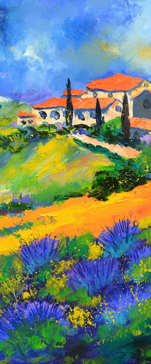 Summer in Provence - 7725 by Pol Henry Ledent