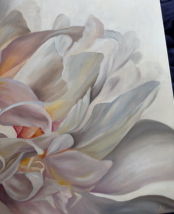 Petal by Petal