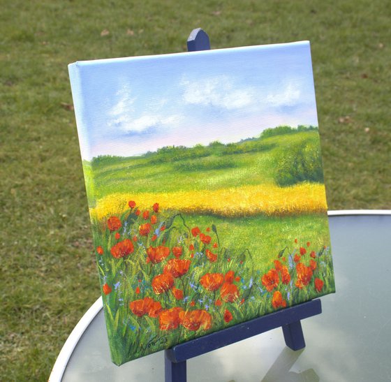 Red poppies field