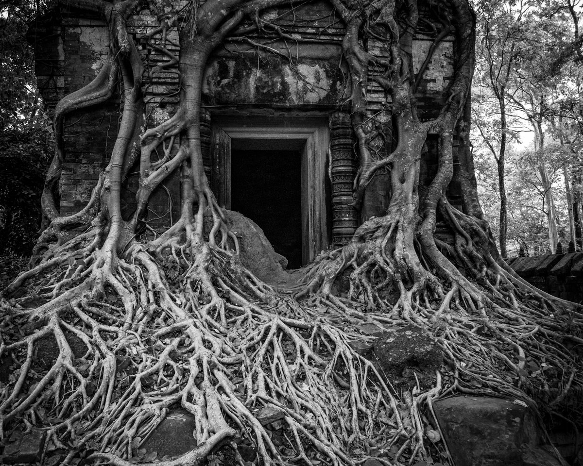 Photorealistic Abstract Photograph By Serge Horta, 12 X 15", Angkor Series No.8 (B&W), Original Artwork