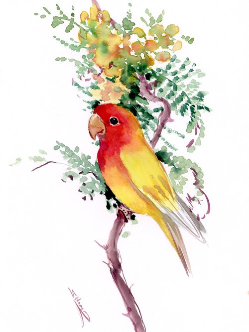 Yellow Lovebird by Suren Nersisyan
