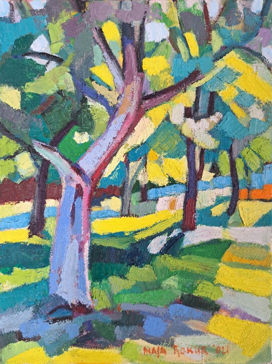 Summer shadows 1