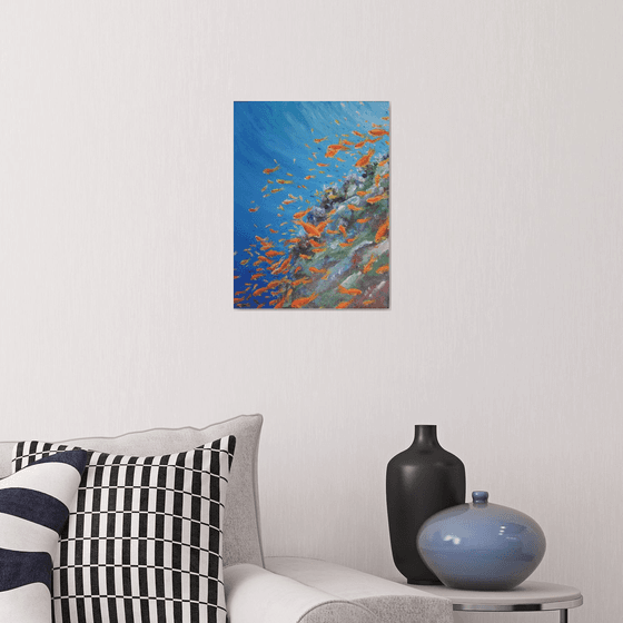Fishes at a Sea Reef