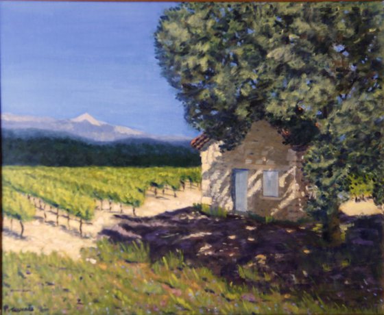 Cabanon de vigne sous le Ventoux en Provence / Vineyard cabin near the Mont Ventoux en Provence