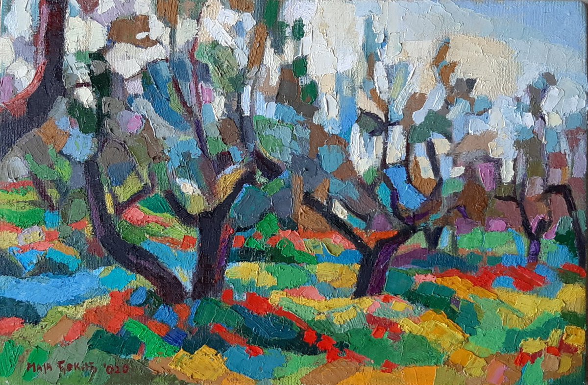 Olive grove by Maja Dokic Mihajlovic