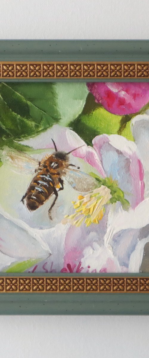 Honey Bee, Small Art Framed by Natalia Shaykina