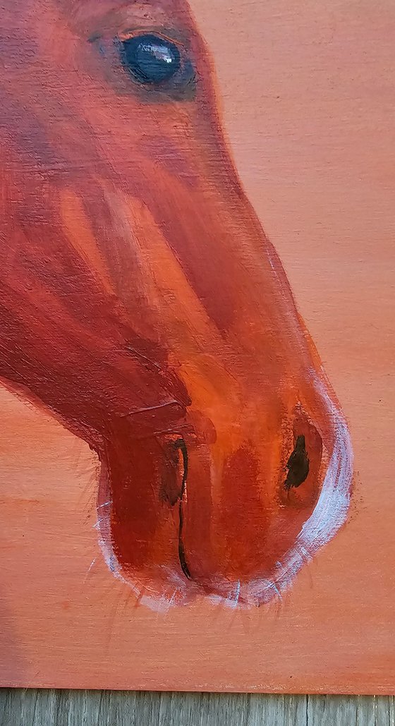 Chestnut horses at soft pink orange sunset