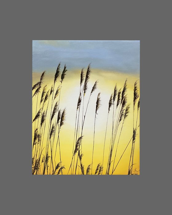 Seagrass on a Sunrise