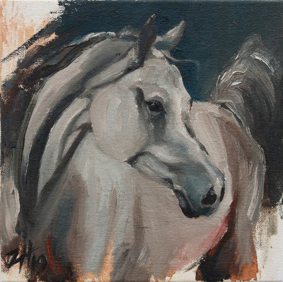 Equine Head Arab White (study 1)