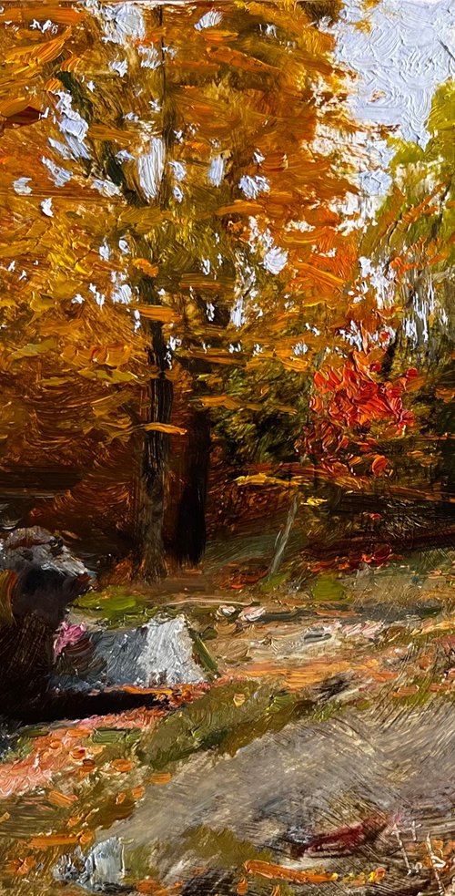 In the gorge. October by Denys Gorodnychyi