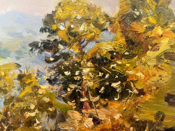 When Golden Light Touches the Treetops