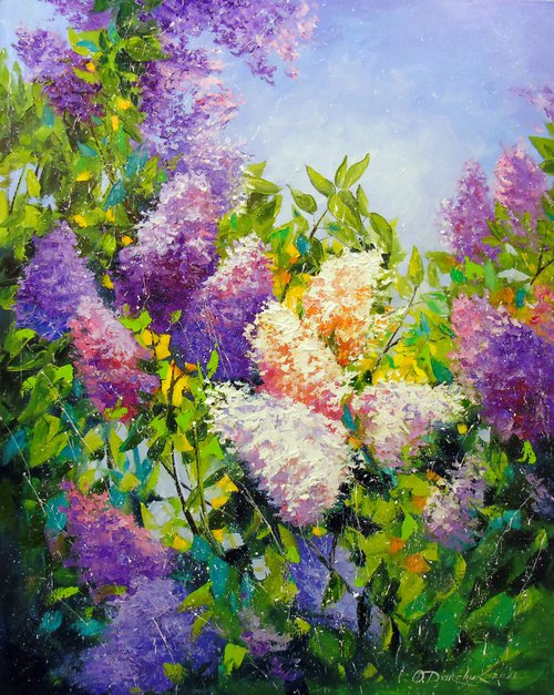 Fragrance of lilac by Olha Darchuk