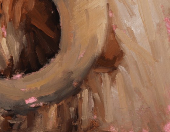 Awassi Sheep Study