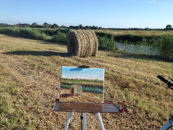 Haystack in Westland2