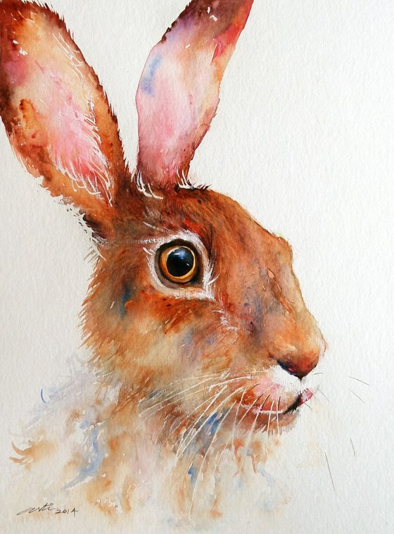 Hazelnut Hare