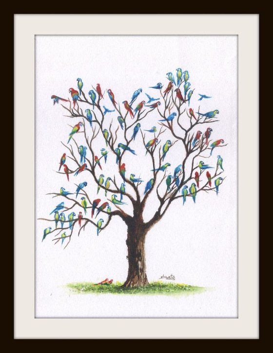 Macaw Birds on Tree