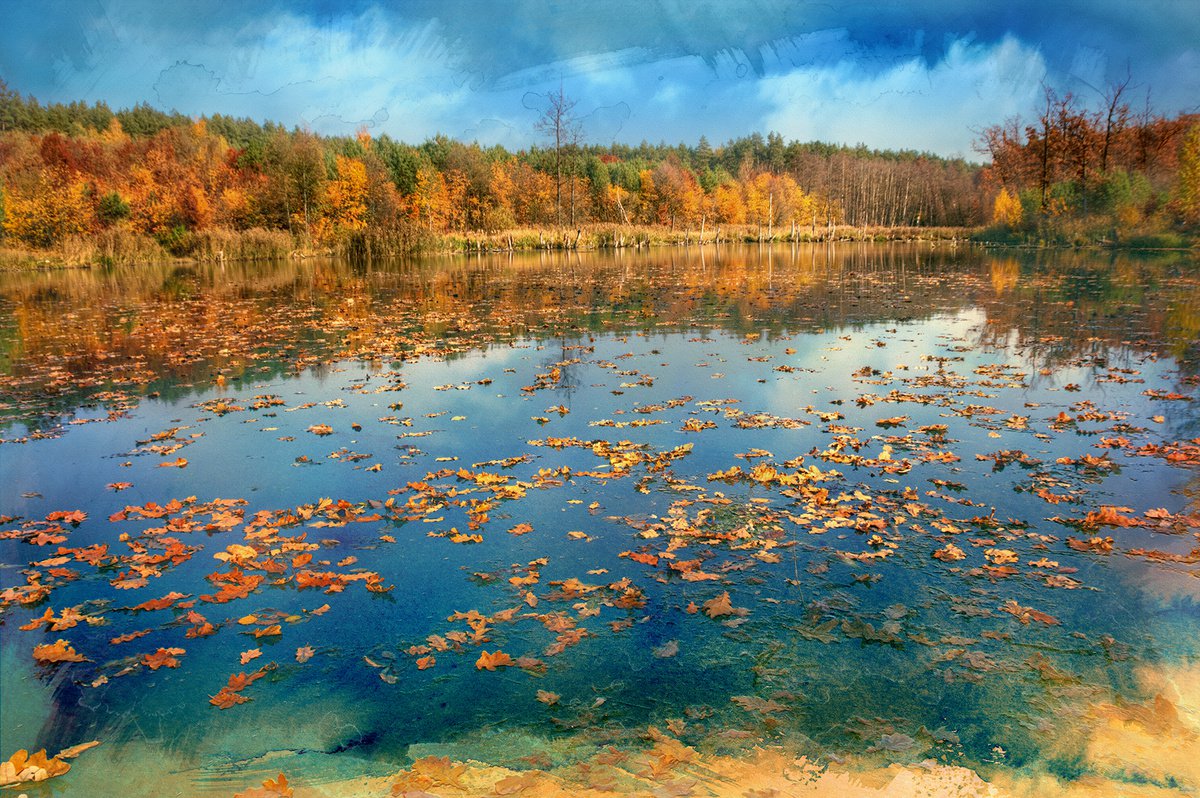Paints of autumn. by Valerix