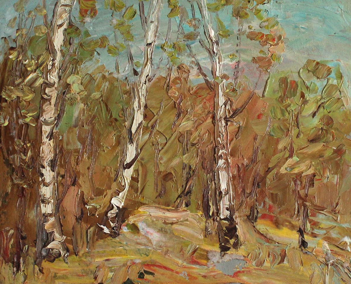 Etude with birches. by Viktor Makarov