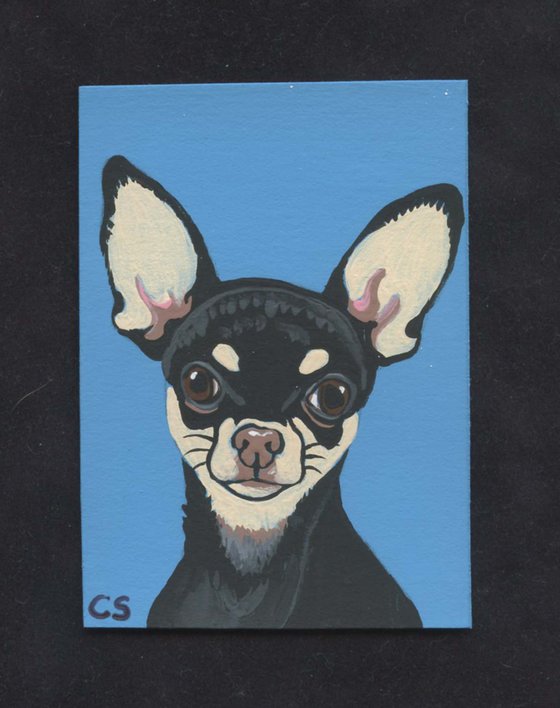 ACEO ATC Original Miniature Painting Black Chihuahua Pet Dog Art-Carla Smale