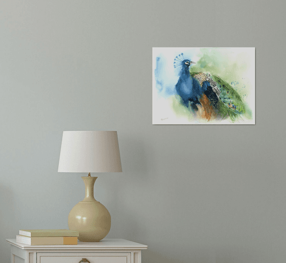 Majestic Peacock