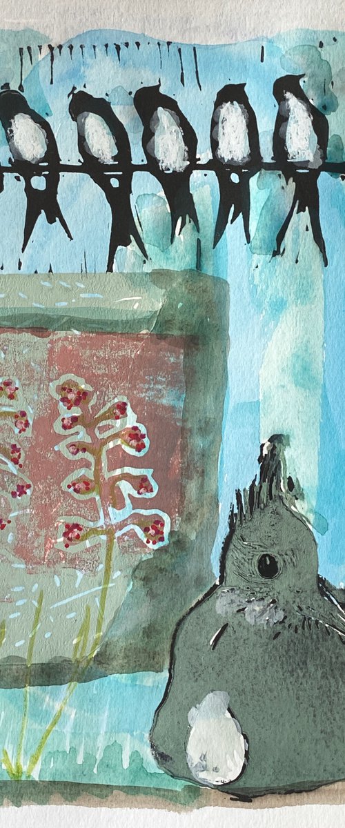 Swallows by Sidse Friis
