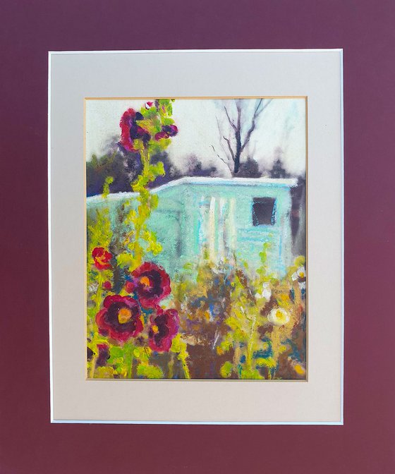 Dad's Allotment Shed & Hollyhocks