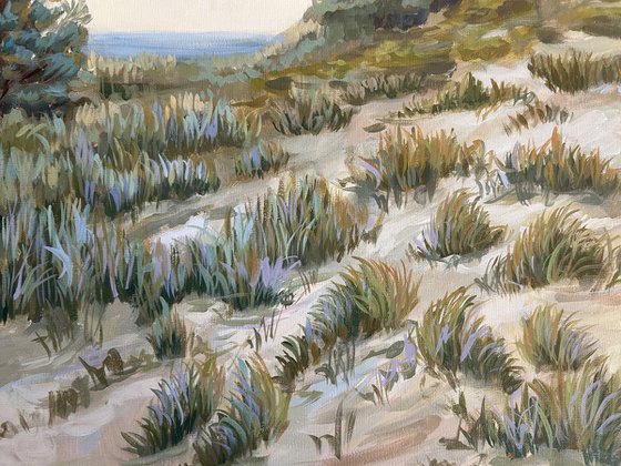 Evening in the Dunes