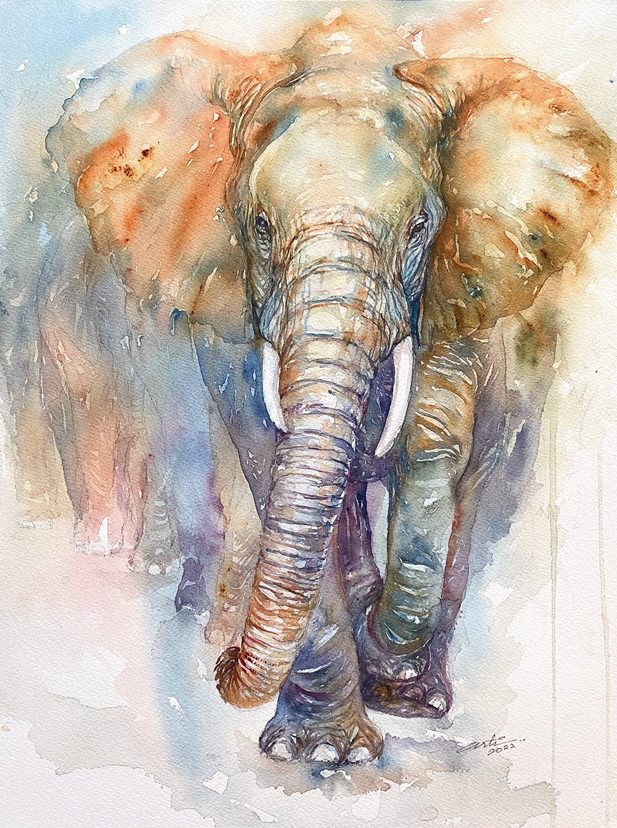 Impressionistic Watercolour , King Kobe_Elephant By Arti Chauhan, 12 X 16, Artwork For Sale On Artfinder