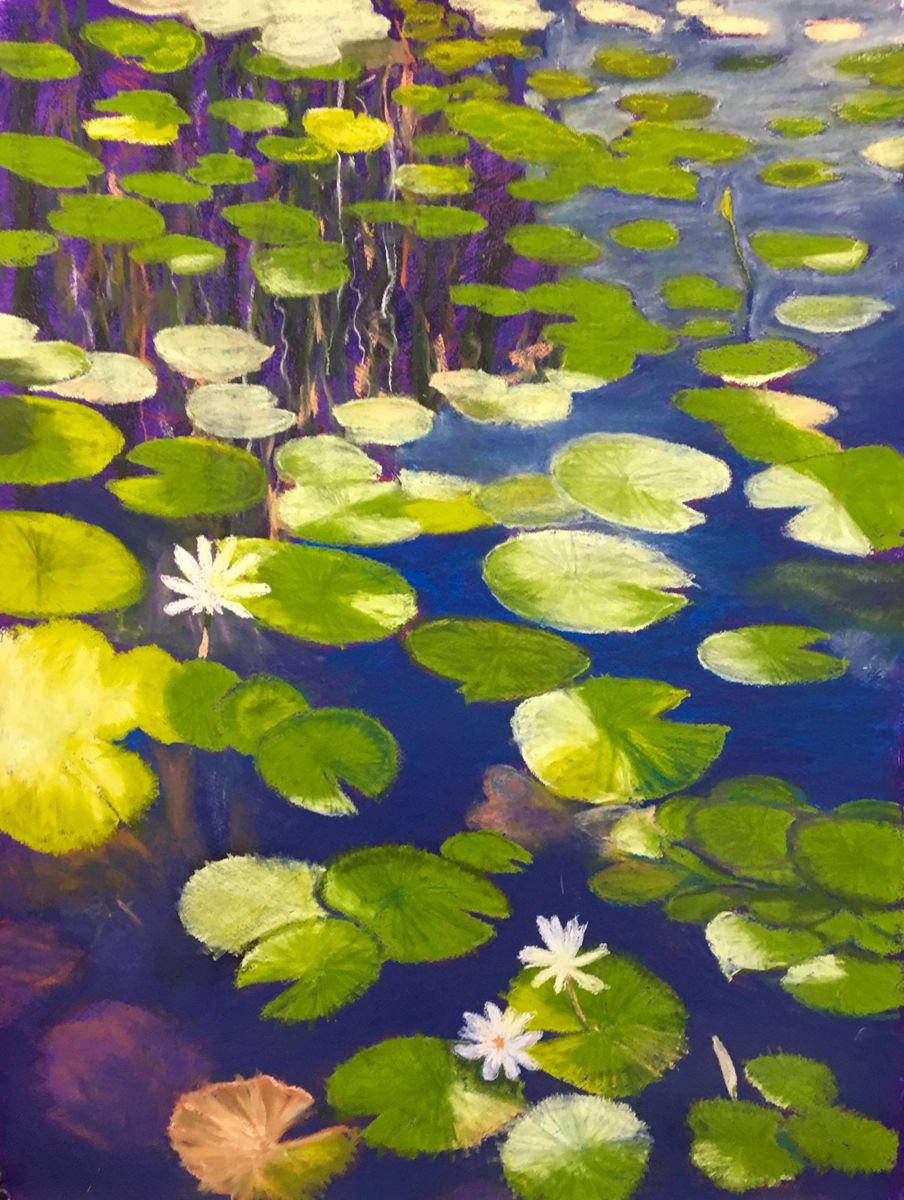 Lotus pond by John Cottee